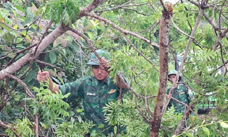 Bão số 3 vào đất liền