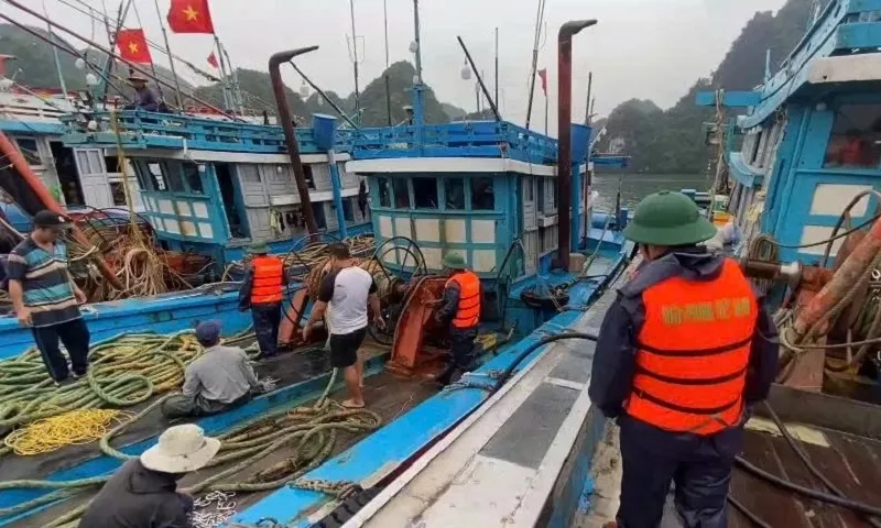 Bộ đội ứng phó bão kiểm đếm tàu thuyền