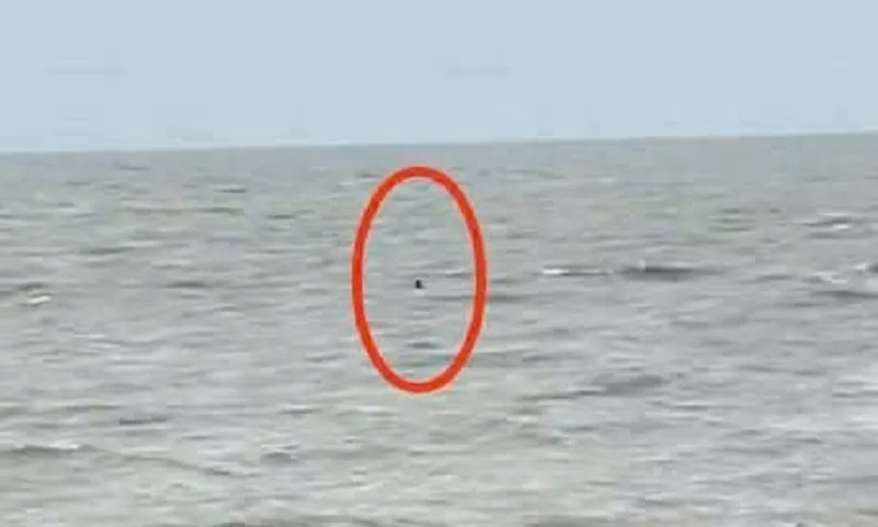 Tàu cao tốc Lightning cứu sống ngư dân trôi dạt 6 giờ