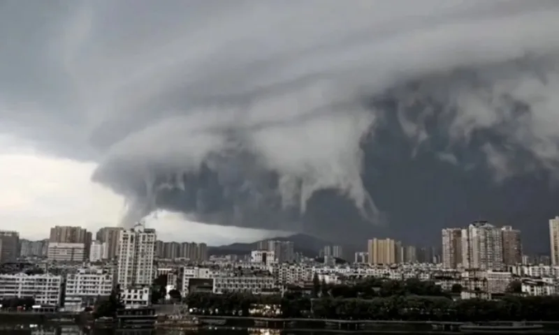Quang Dong 2025