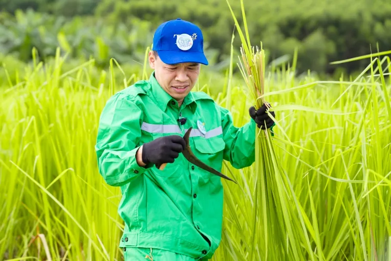 dan-cast-bo-oi-minh-di-dau-the-xit-keo-khi-phai-doc-hieu-tieng-dia-phuong 20250723-165533-20