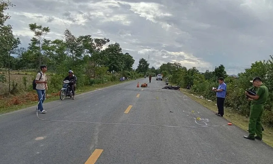 Gia Lai: Một người đi xe máy tử vong do va chạm với bò trên Quốc lộ 25