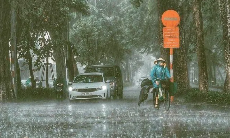 Mưa lớn 2