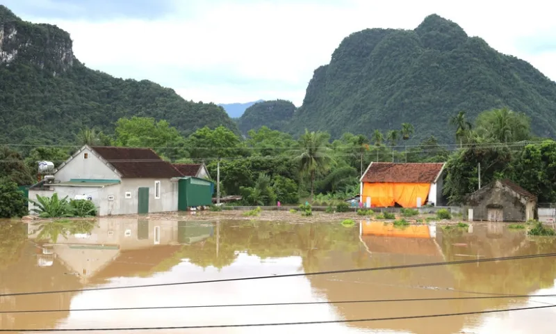 Phó Thủ tướng chỉ đạo khẩn trương cứu trợ vùng lũ Con Cuông