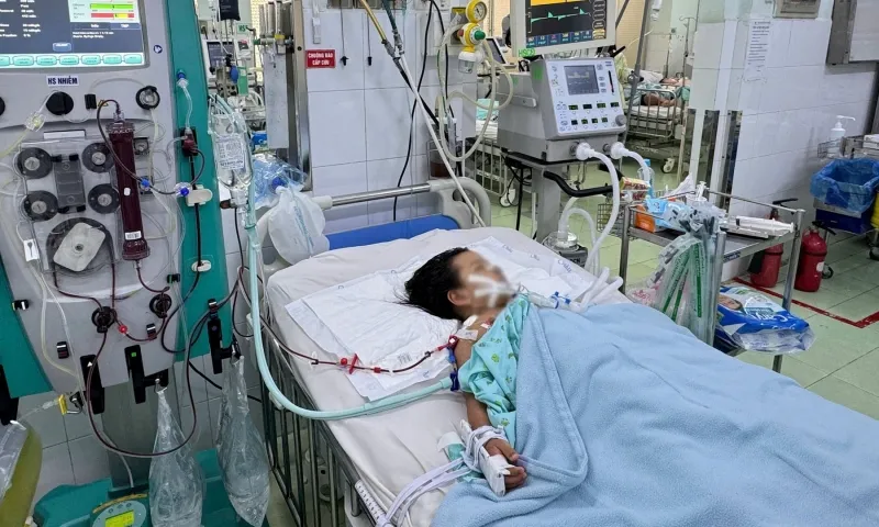 Sốt xuất huyết tăng nhanh 