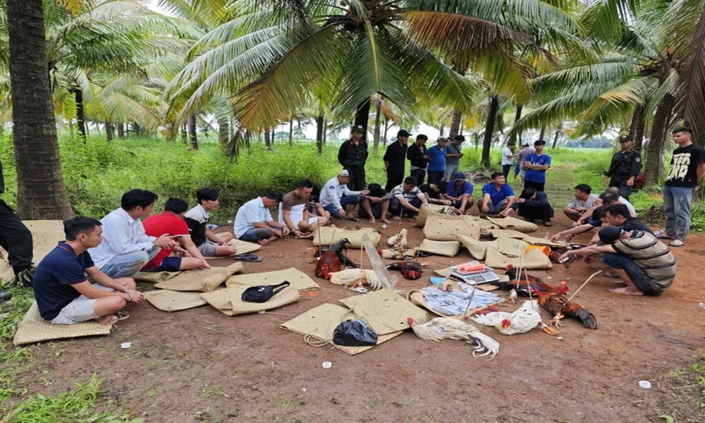 Triệt phá trường gà “khủng” hơn 1,6 tỉ đồng tại Cần Thơ