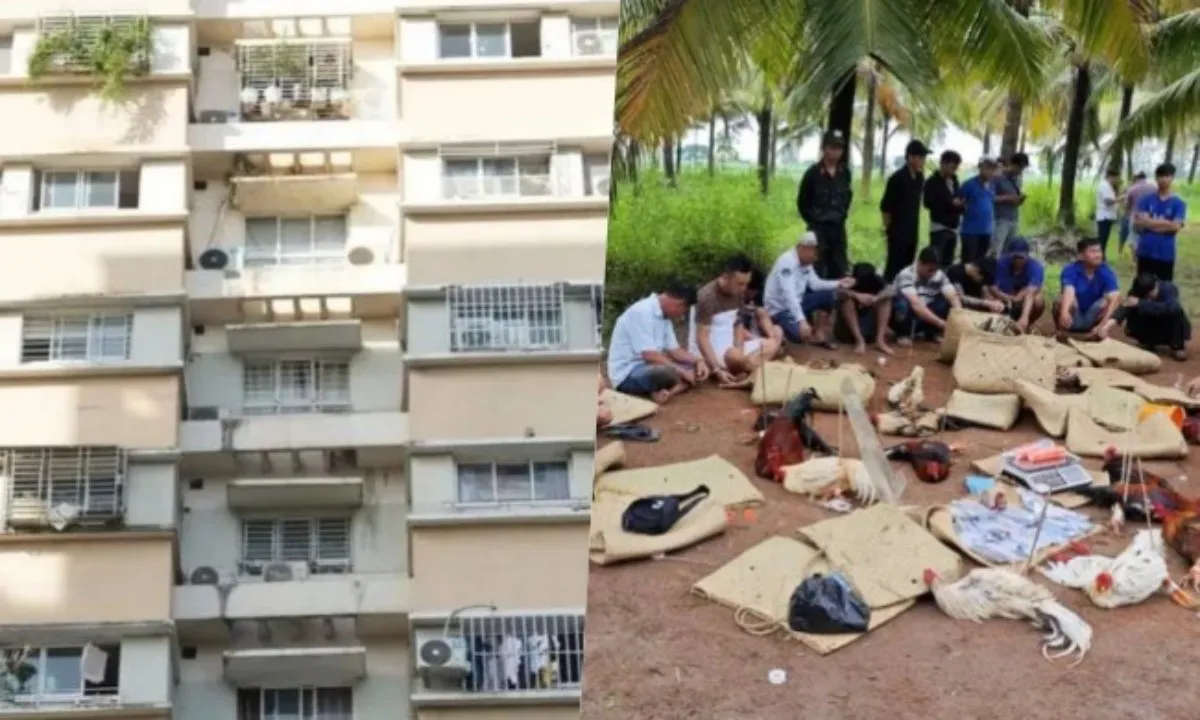 Điểm tin sáng 25/7: Chủ đầu tư chậm triển khai NƠXH dù có quỹ đất | Triệt phá trường gà lớn