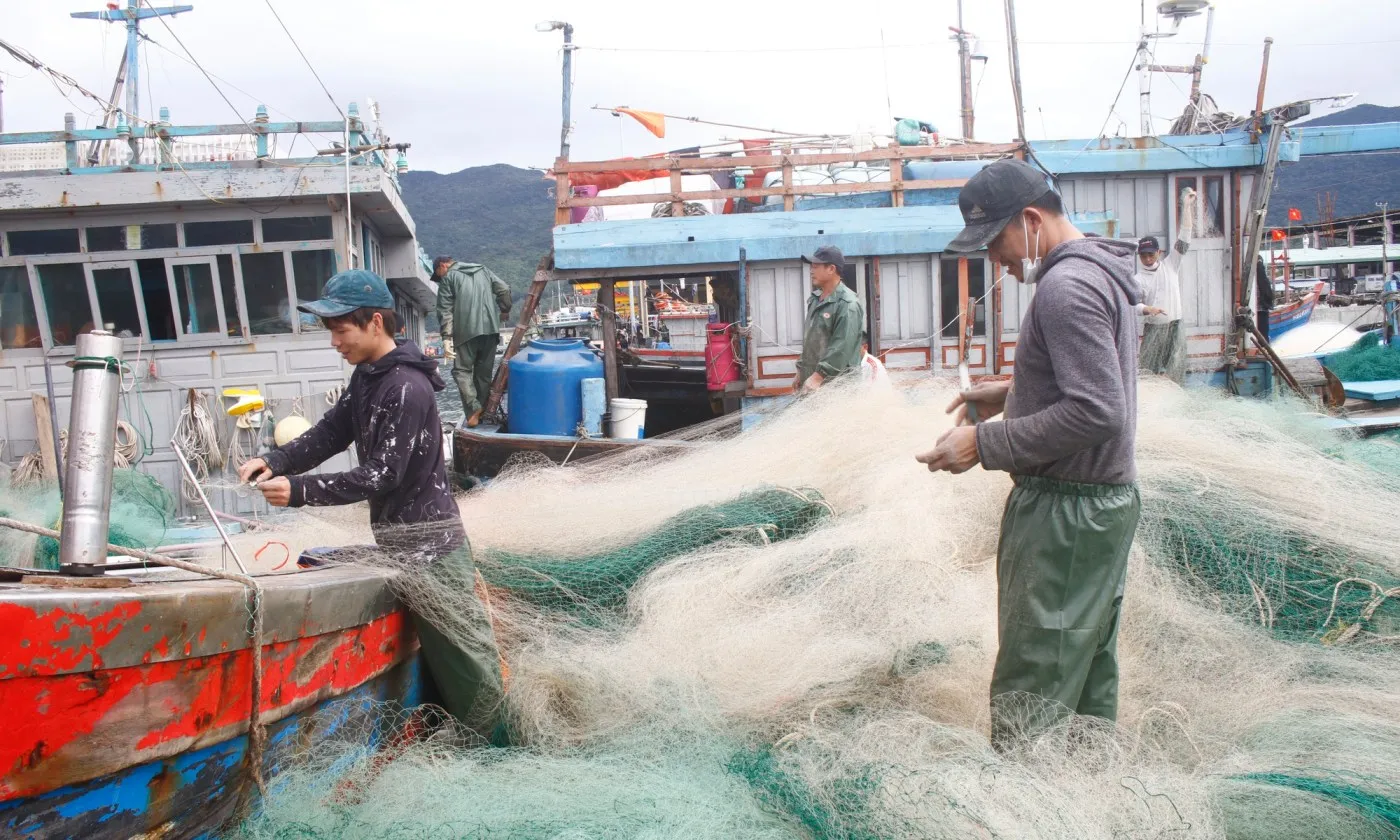 Thủ tướng: Xử lý hình sự vi phạm nghiêm trọng khai thác IUU