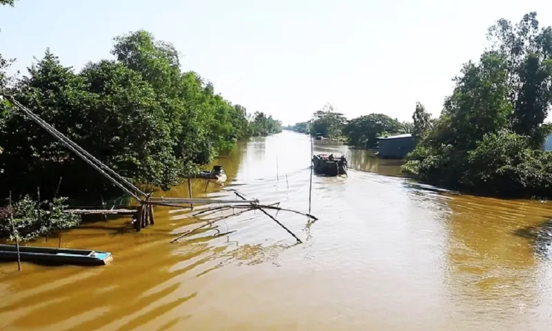 Cà Mau: Phát hiện cá sấu bơi trên kênh