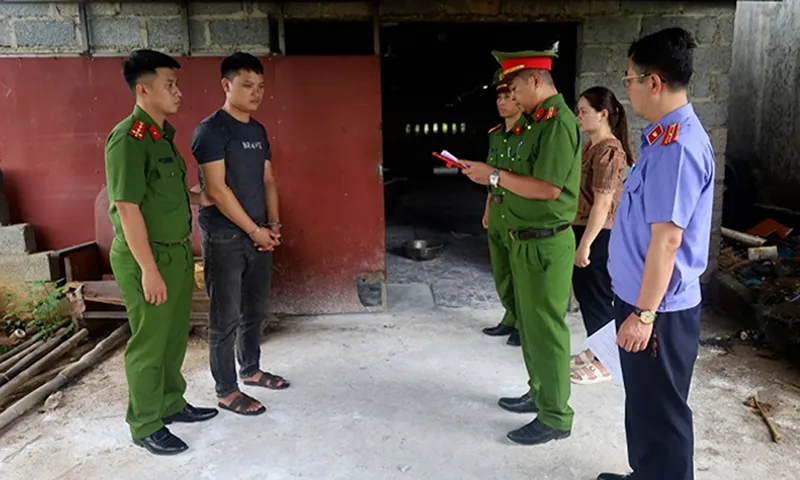 Bắt giam 2 người mua heo nhiễm bệnh về giết mổ bán kiếm lời