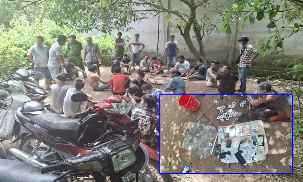 Vĩnh Long: Bắt quả tang sới đá gà, thu giữ tại chỗ hơn 92 triệu đồng