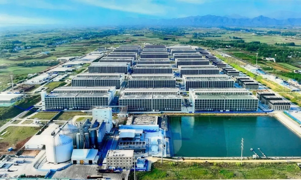 Đề xuất mô hình “chung cư nuôi heo” tại Việt Nam