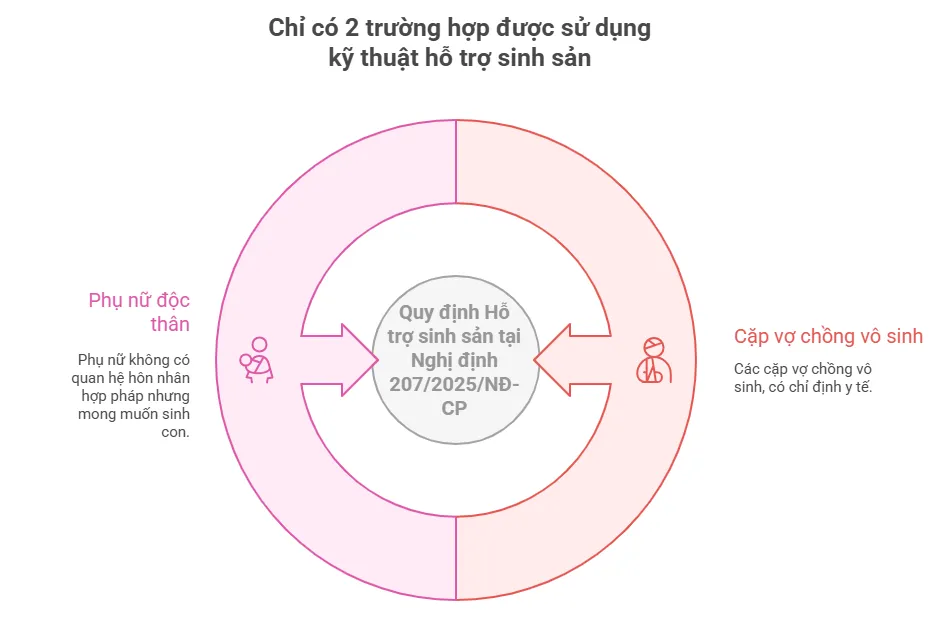 nghi-dinh-2072025nd-cp-chi-co-2-truong-hop-duoc-su-dung-ky-thuat-ho-tro-sinh-san-la-visual-selection-175392883841746316050