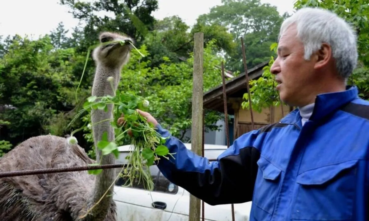 matsumura-and-ostrich-17540259-9598-3263-1754026073