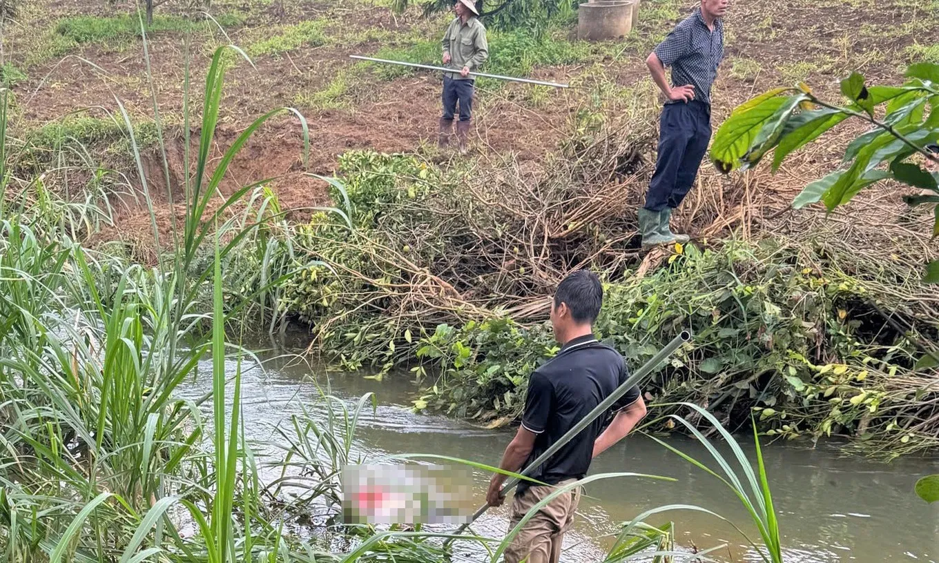 Lâm Đồng: Phát hiện thi thể người phụ nữ nghi bị lũ cuốn sau trận mưa lớn