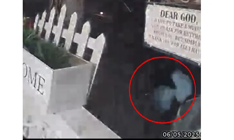 Camera an ninh trước cửa nhà quay được người ngoài hành tinh?