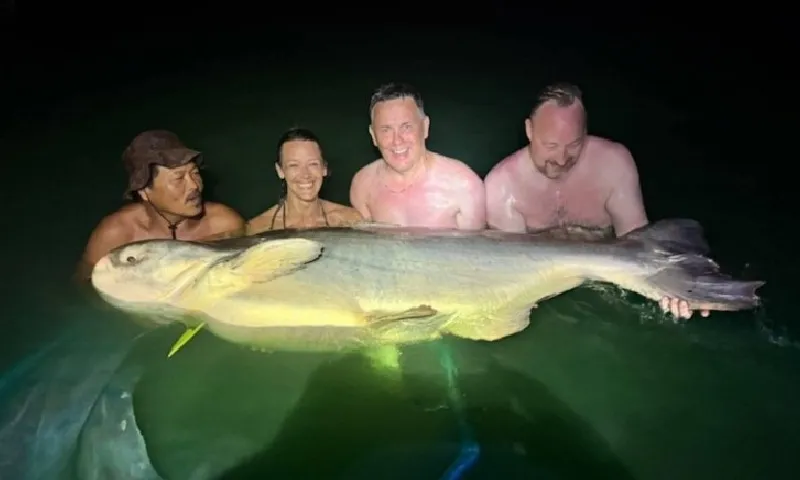 Nữ cần thủ Anh lập kỷ lục thế giới khi câu được cá tra dầu Mekong nặng 126kg