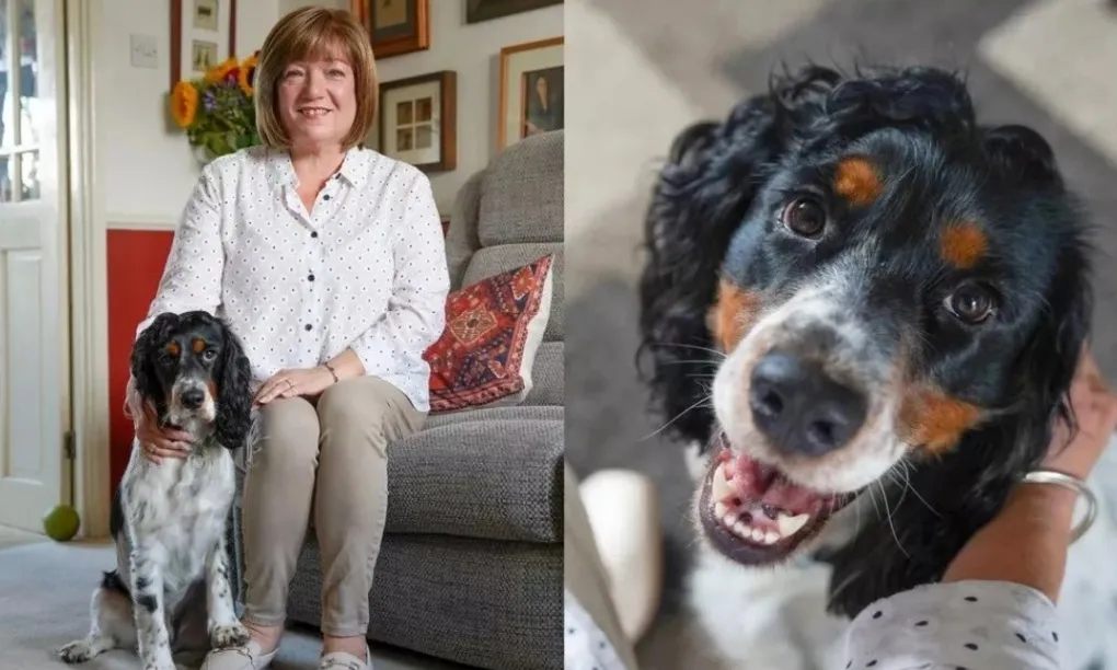 Chú chó huấn luyện gọi người cứu sống chủ bị đau tim