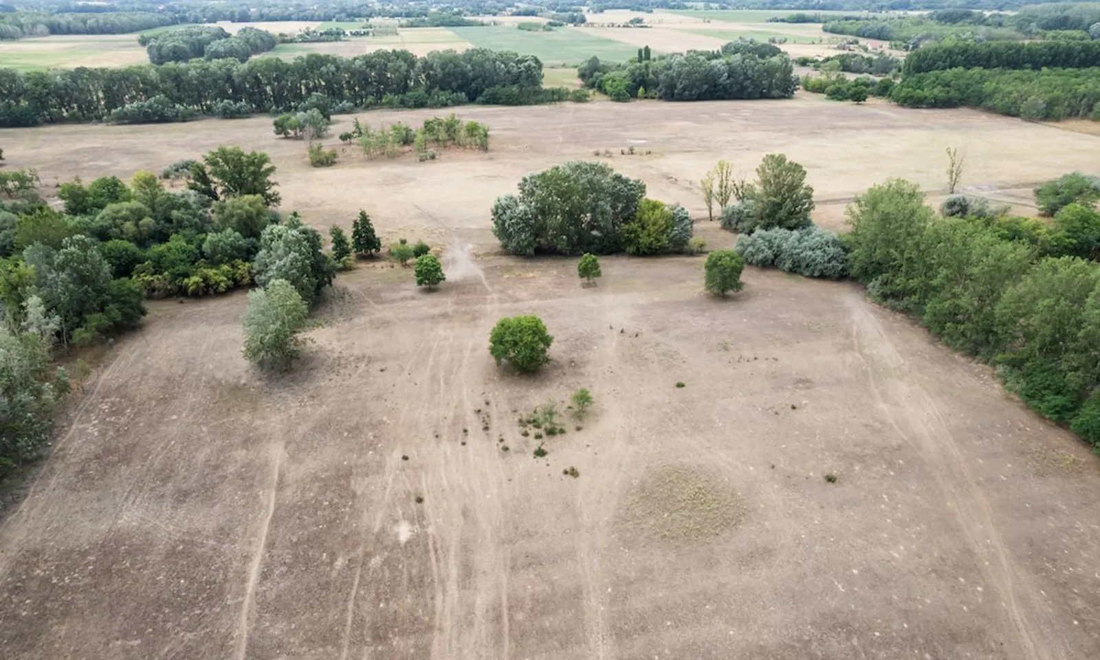 Hạn hán nghiêm trọng đe dọa vùng nông nghiệp trọng điểm miền nam Hungary