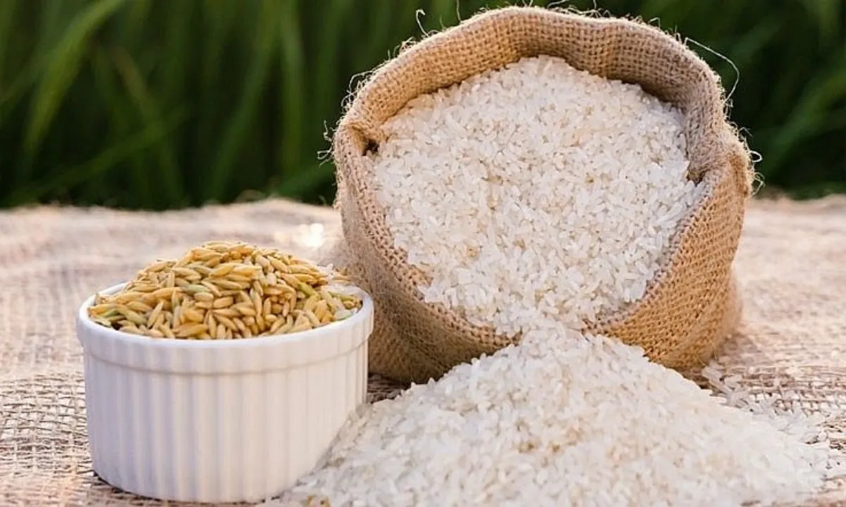 Giá gạo Việt Nam tăng sát đỉnh 3 tháng