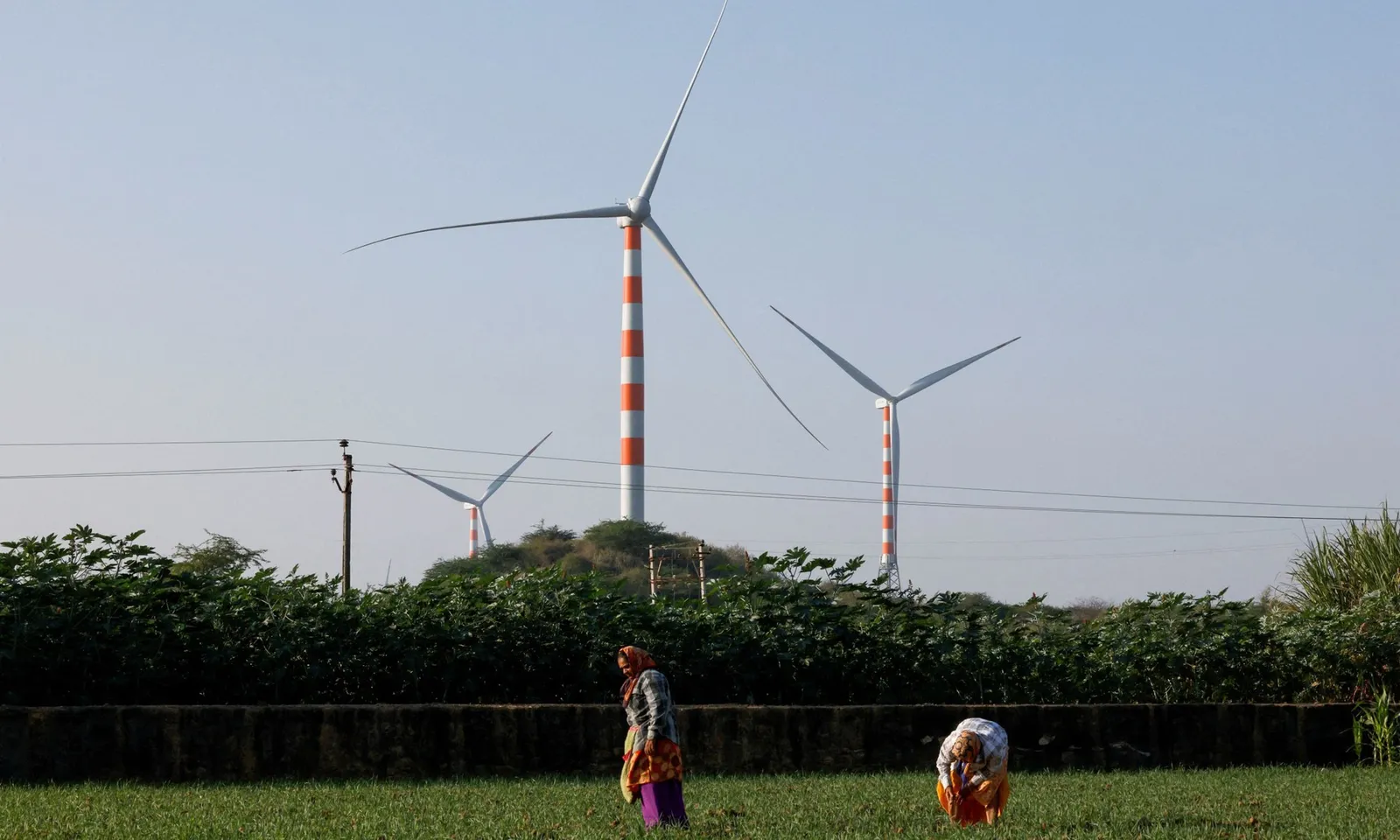 Ấn Độ siết chặt quy định đối với thiết bị tua-bin gió