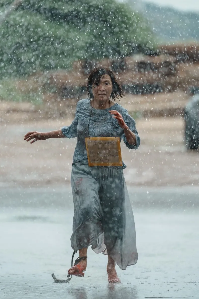 phong-van-hong-dao06