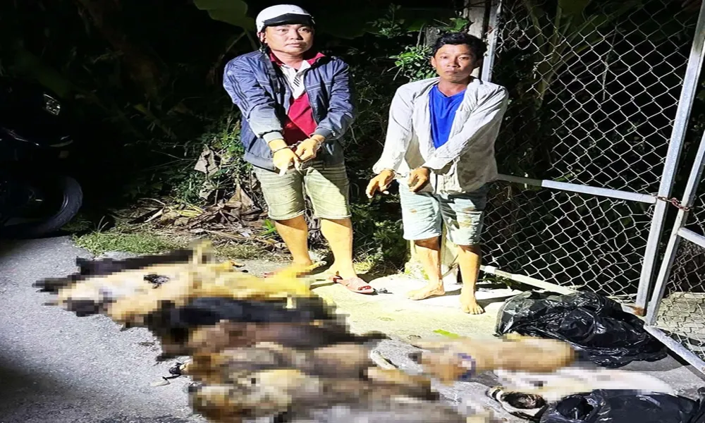 Trộm chó có tổ chức ở Cà Mau bị triệt phá lúc rạng sáng