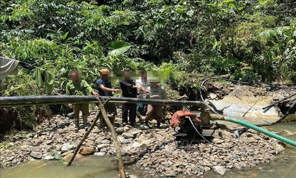 Khai thác vàng trái phép trong rừng, 9 đối tượng bị công an lập biên bản xử lý