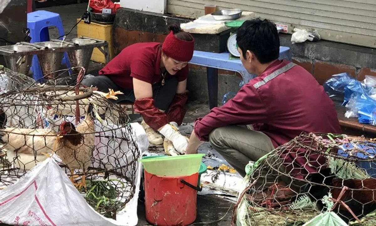 Hà Nội ra “tối hậu thư” dẹp chợ cóc, lò mổ lậu trong năm 2025