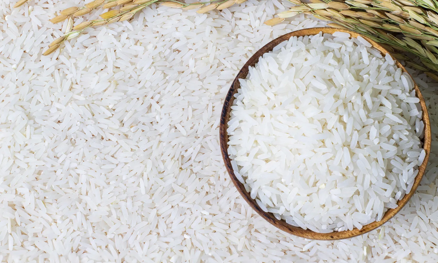 Hàn Quốc xuất khẩu gạo sang Nhật tăng mạnh