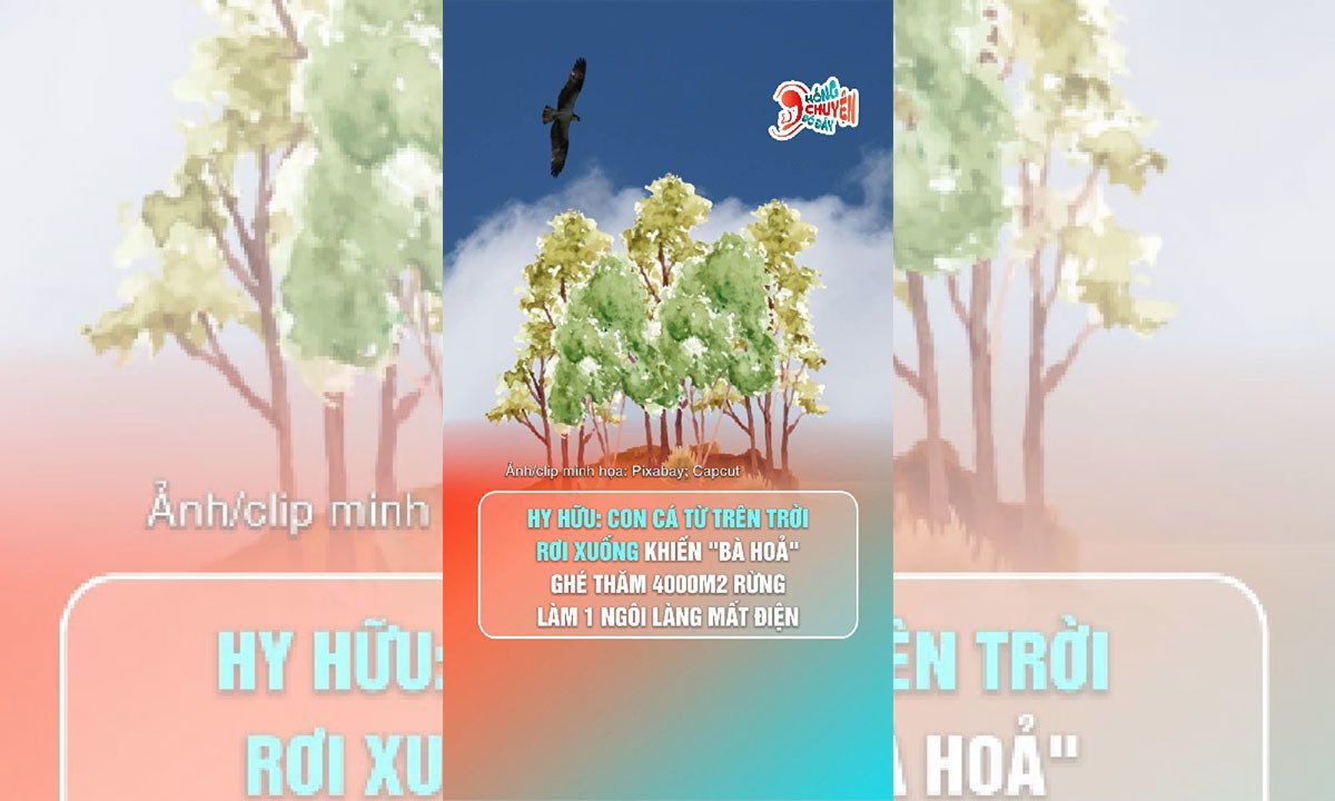 Hy hữu cá rơi từ trên trời xuống gây cháy rừng ở Canada