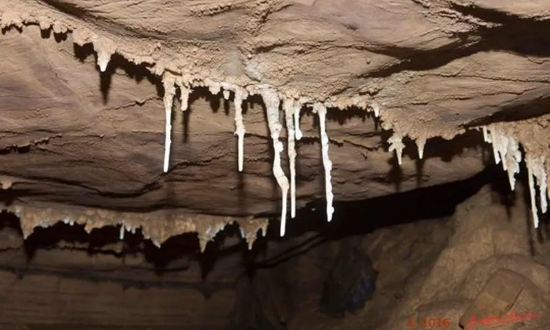 Khảo cổ tại Gabon hé lộ bí ẩn về người tiền sử từng sống ở vùng Trung Phi