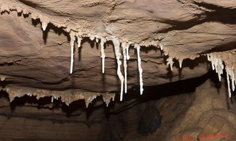 Khảo cổ tại Gabon hé lộ bí ẩn về người tiền sử từng sống ở vùng Trung Phi