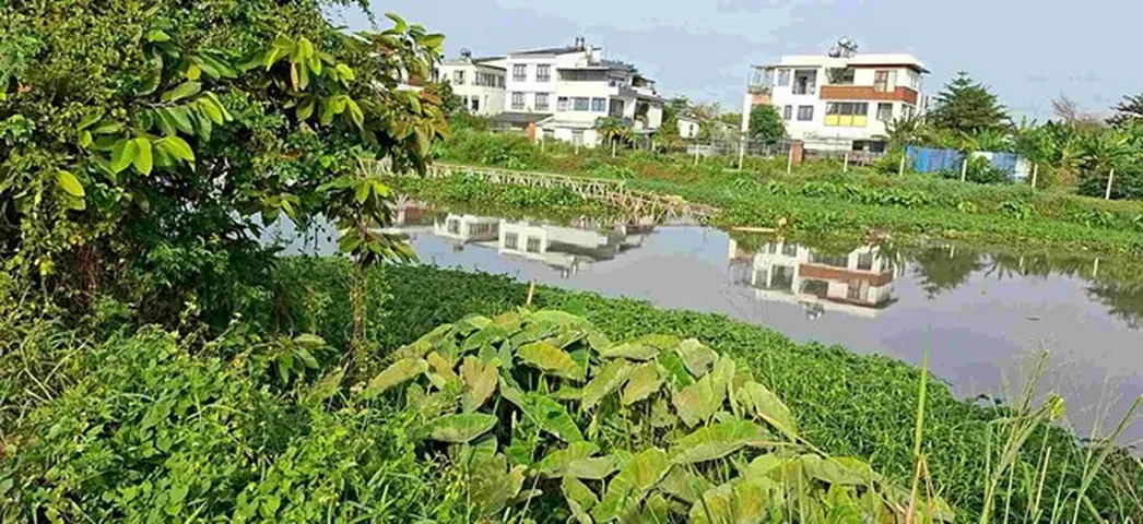 Cuon-Troi-Cau