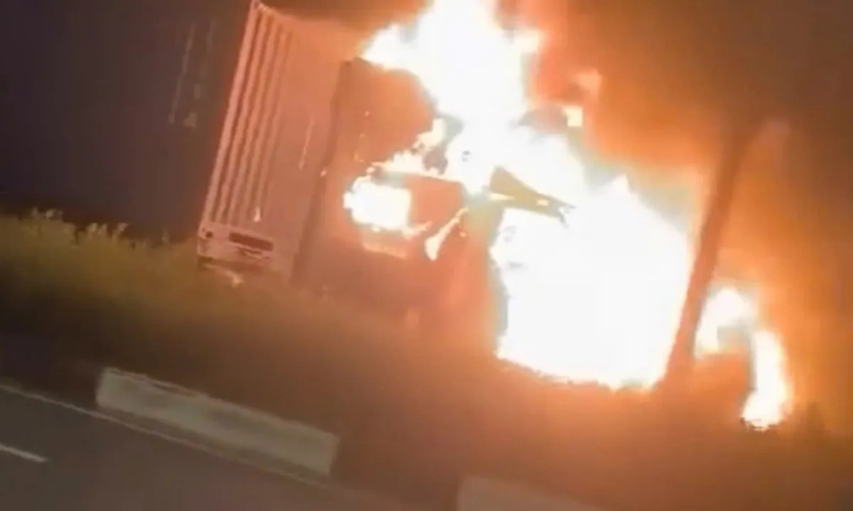 Xe container bốc cháy ngùn ngụt trên đường Mỹ Phước - Tân Vạn