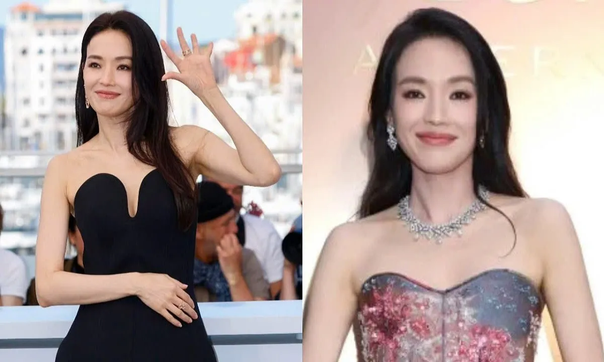 Thư Kỳ liên tục đón nhận tin vui