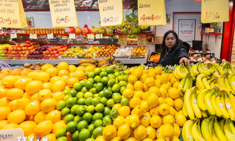 Canada: Thuế quan trả đũa với hàng hóa Mỹ khiến các hộ gia đình chịu thêm gánh nặng