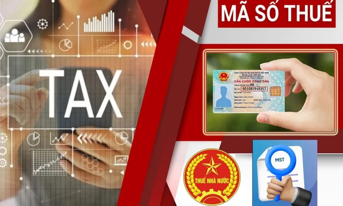 Từ 15/8: Áp dụng mã định danh cá nhân thay mã số thuế trong thủ tục hải quan chuyển phát nhanh