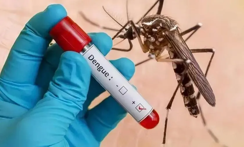 TPHCM triển khai kịch bản ứng phó dịch sốt xuất huyết quy mô lớn