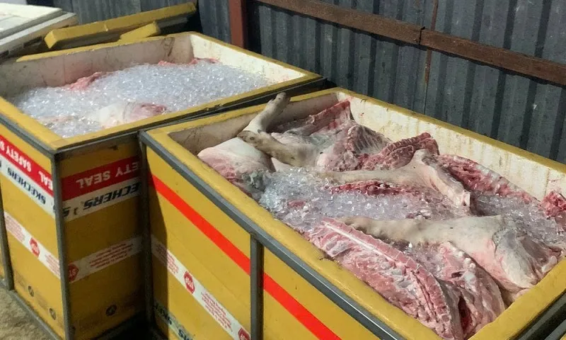 Gia Lai: Thu giữ và tiêu hủy hơn 4 tấn thịt heo bốc mùi, không rõ nguồn gốc 