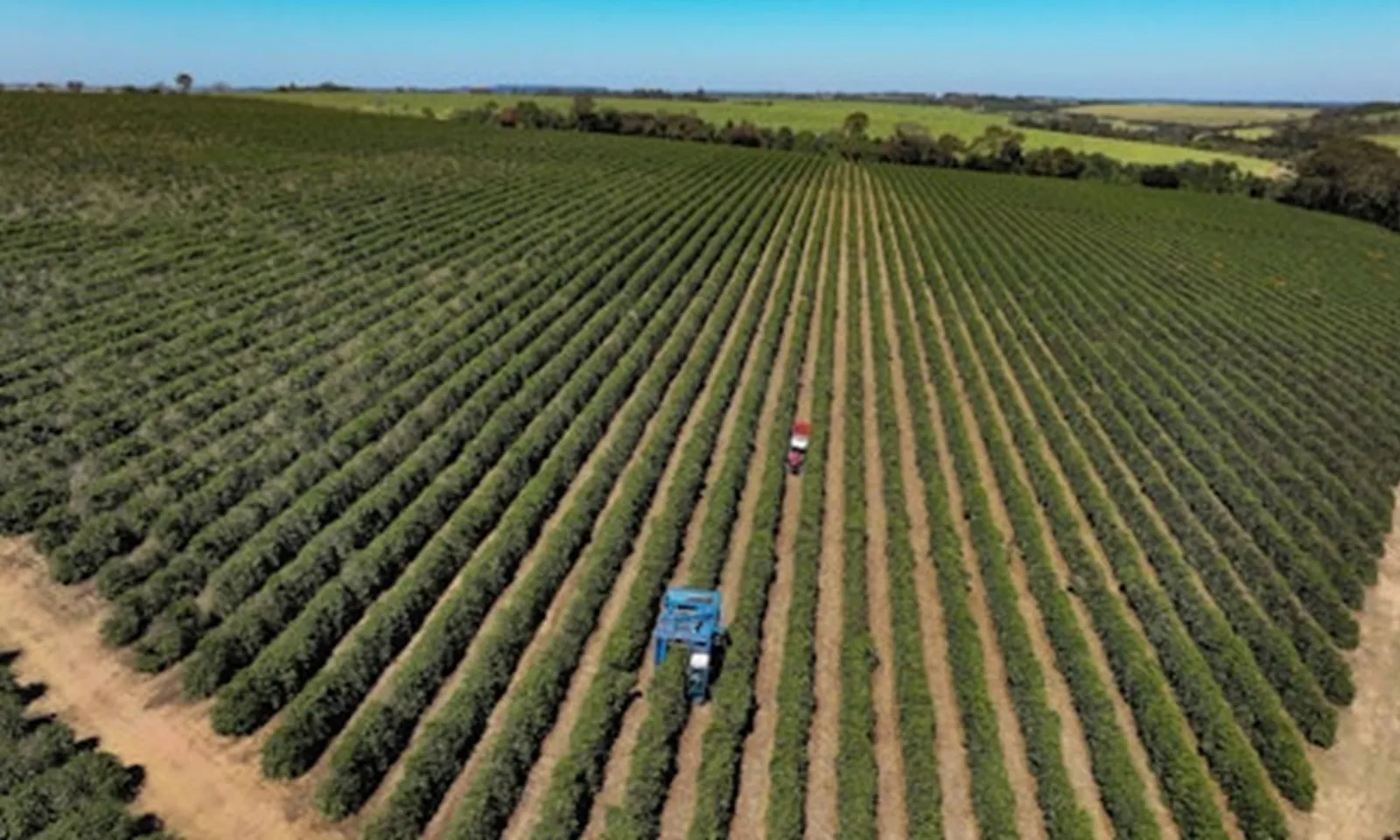 Thuế quan 50% của Mỹ đối với Brazil có hiệu lực