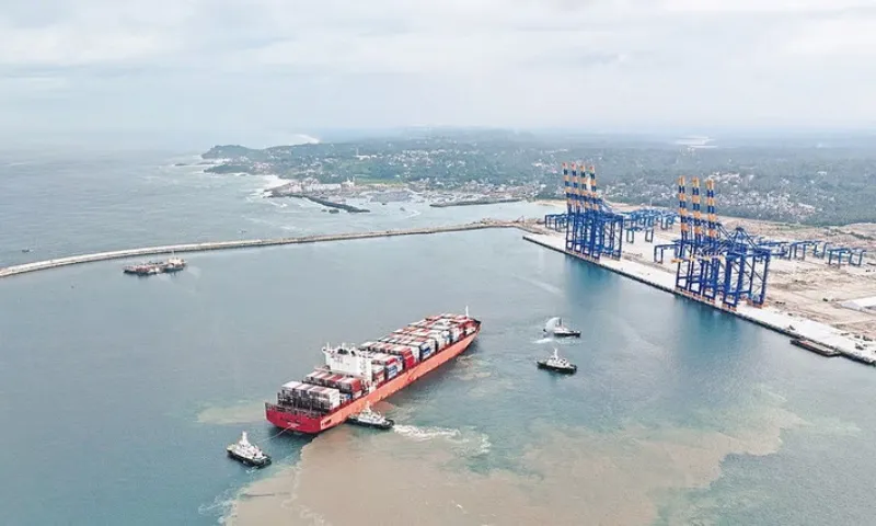 Cang biển