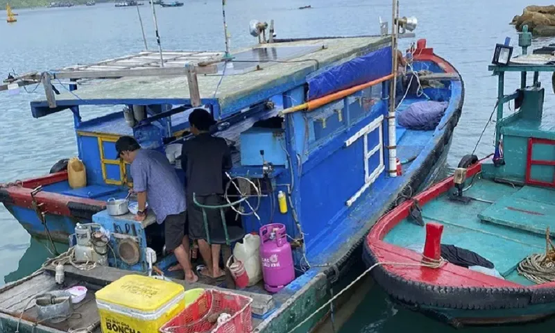 Kiểm tra hành chính tàu cá phát hiện có Xyanua - Ảnh S