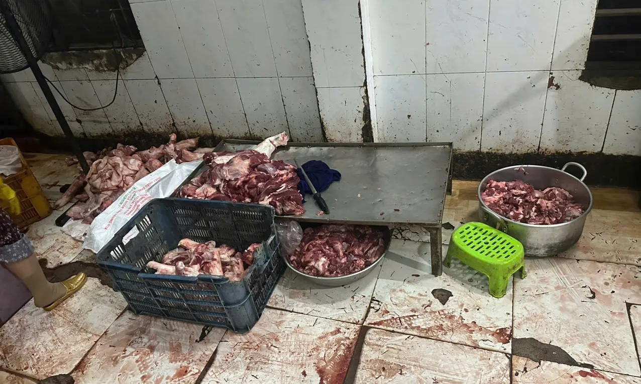 Quảng Ngãi: Phát hiện hơn 1 tấn thịt heo không rõ nguồn gốc tại lò mổ tư nhân