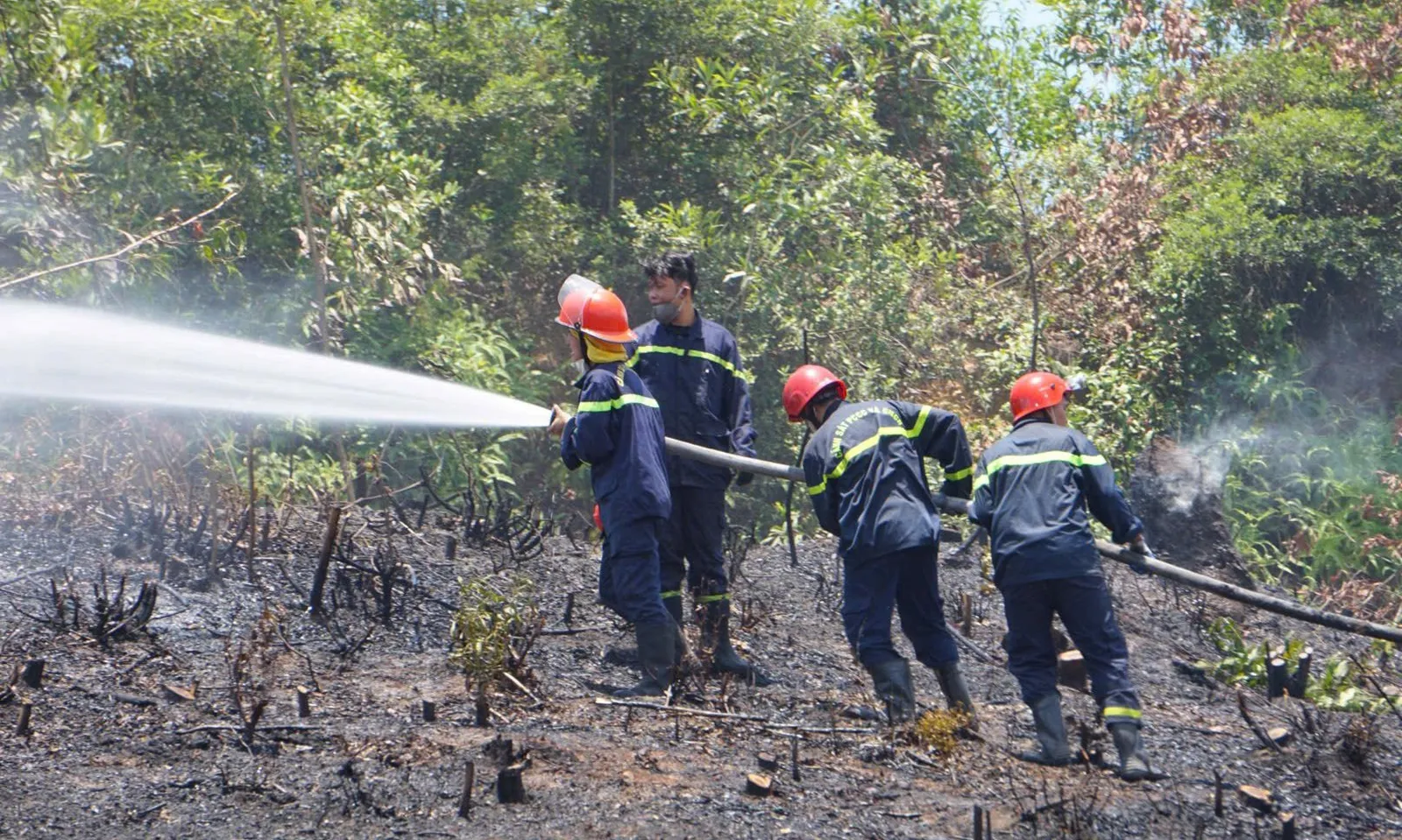 Dập tắt đám cháy đồi gần Trung tâm hỏa táng An Phước Viên, Đà Nẵng
