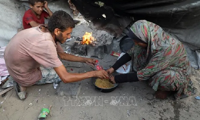WHO cảnh báo trật tự xã hội tại Gaza đang sụp đổ, kêu gọi thiết lập hành lang nhân đạo