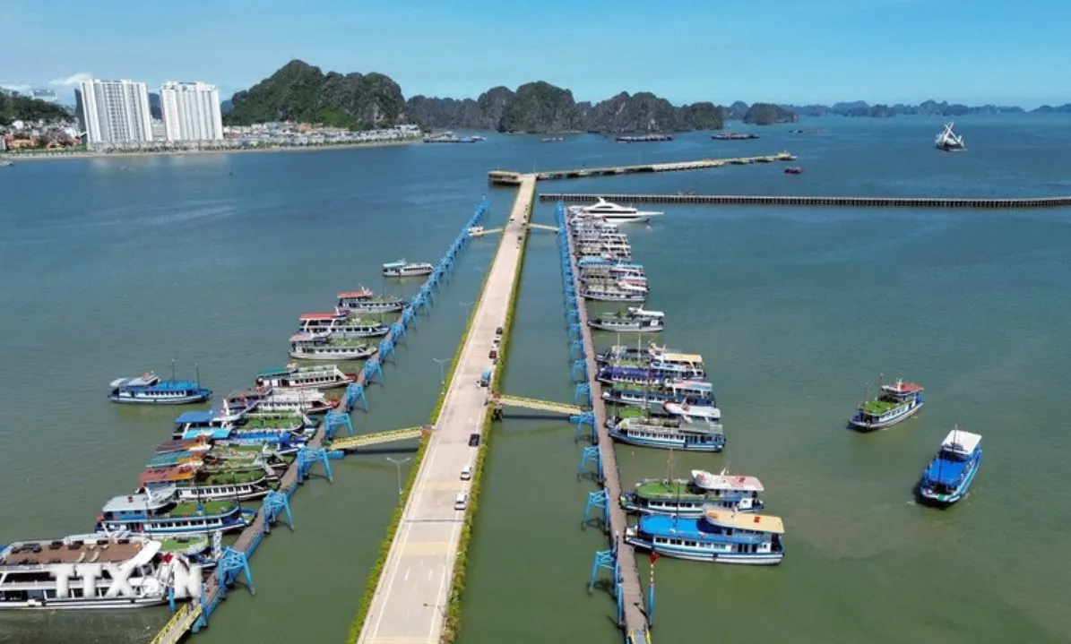 Vịnh Hạ Long: 100% tàu du lịch lắp thiết bị định vị AIS trước 15/8