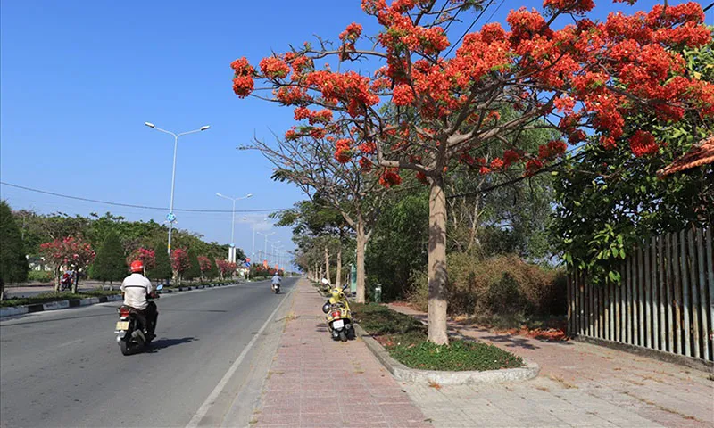 Ngoài khu lõi trung tâm TPHCM, những nơi nào dần cấm xe xăng?