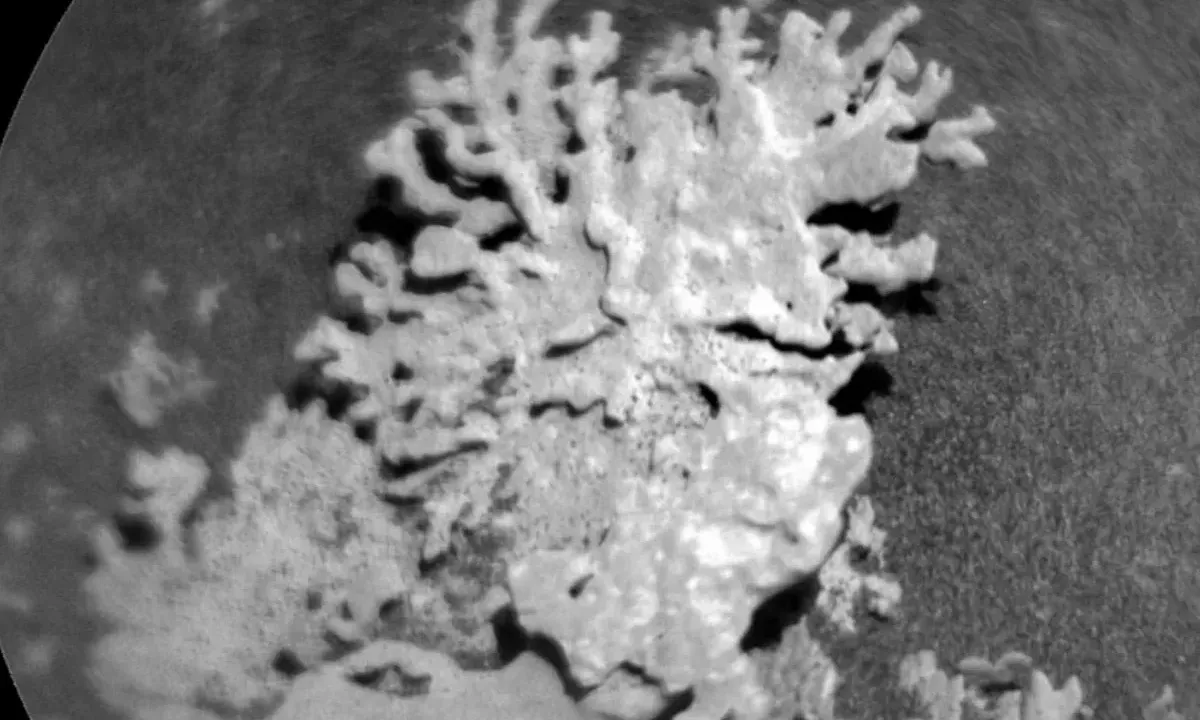 NASA phát hiện khối đá hình san hô trên sao Hỏa