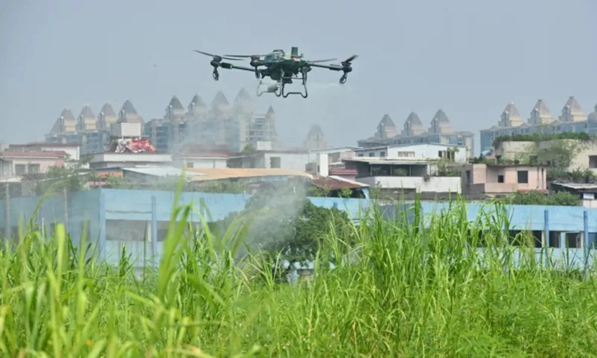 Bùng phát dịch chikungunya ở Trung Quốc và Singapore